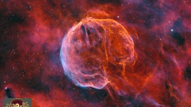 اكتشاف سديم الدماغ: صورة فلكية مذهلة لبقايا انفجار نجمي عمره عشرة آلاف عام