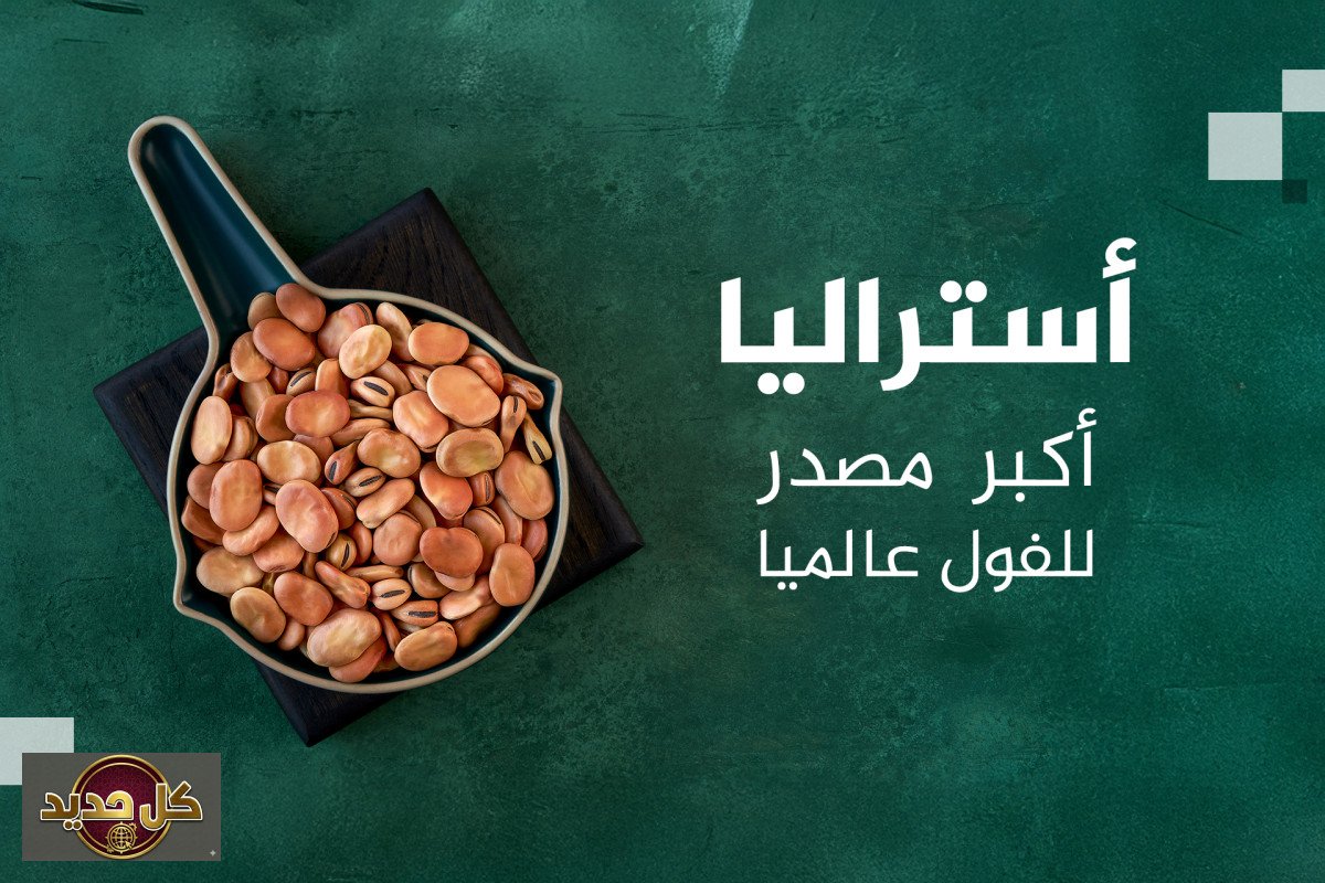 سوق الفول العالمي: الدول العشر الكبرى في الإنتاج والتصدير.. دولة عربية ضمن القائمة