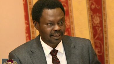 حاكم دارفور مناوي يحذر: «أجندة سرية» وراء الهدن مع الدعم السريع المتهالك