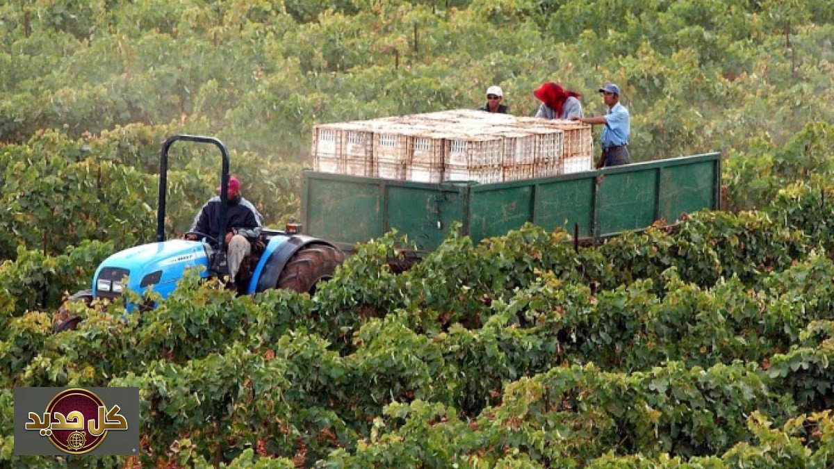 توقعات بارتفاع النمو الاقتصادي المغربي إلى 5% في 2026