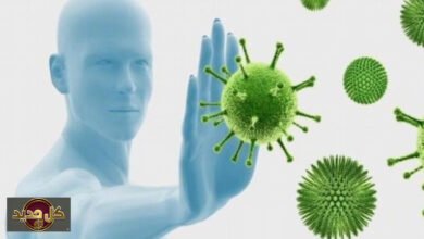 تجديد جهاز المناعة: علماء ينجحون في اختبار أسلوب واعد بتقنية mRNA