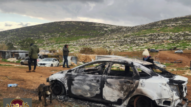 اعتداءات خلة السدرة: كيف صعّد المستوطنون عنفهم شمال شرق القدس