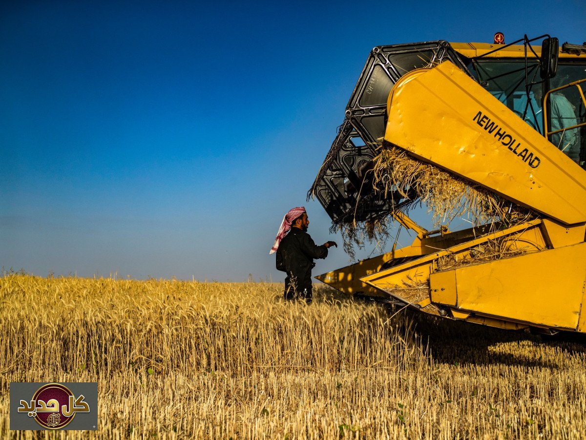 التحول الاقتصادي السوري: كيف تعيد ثروات المنطقة الشرقية رسم الخارطة الاقتصادية؟
