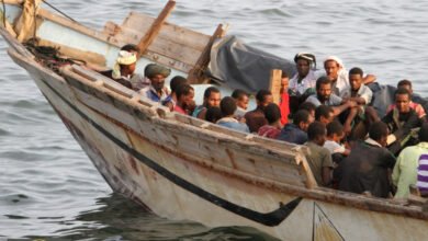 تدفق المهاجرين الأفارقة يرتفع.. 900 وافد يصل سواحل شبوة في شهر