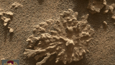 ماء المريخ القديم: كيف أعادت “كيوريوسيتي” فتح ملف الحياة على الكوكب الأحمر؟
