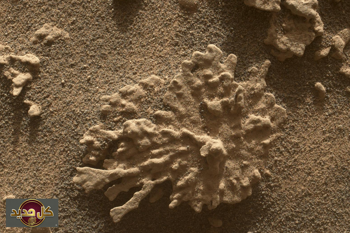 ماء المريخ القديم: كيف أعادت “كيوريوسيتي” فتح ملف الحياة على الكوكب الأحمر؟