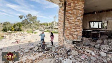 مواد كيميائية إسرائيلية تهدد صحة جنوب لبنان.. شكوى أممية بعد إثبات "الغليفوسات"