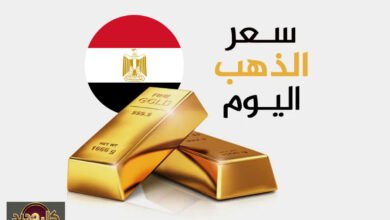 أسعار الذهب في مصر اليوم الثلاثاء.. صعود تاريخي بعد تجاوز الأوقية حاجز الـ 5000 دولار