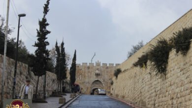 رحلة عبر التاريخ: دليل شامل لأبواب القدس السبعة المفتوحة والأربعة المغلقة