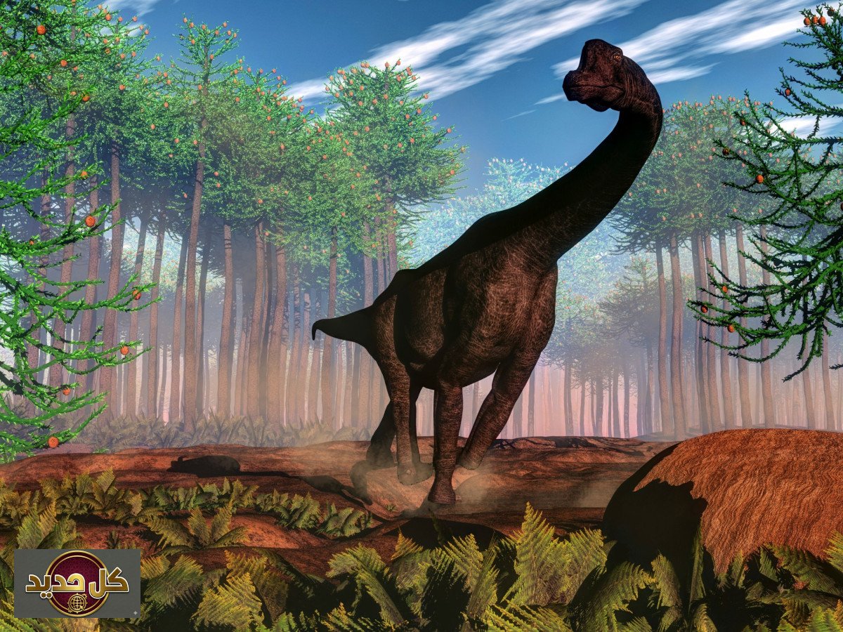 صغار ديناصورات الصوروبود: كيف هيمنت هذه الوجبة على نظام الجوراسي؟