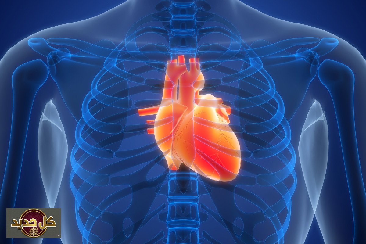 صحة القلب: 8 عادات يومية تدمر سلامة جهازك الوعائي.. كيف تتجنبها؟