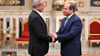 المباحثات المصرية الإيرانية: تفاصيل الاتصال الهاتفي بين السيسي وبزشكيان