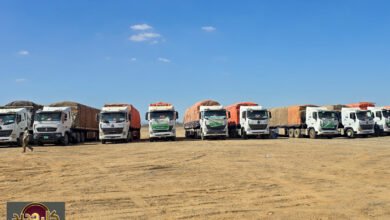 الأوضاع الإنسانية في الدلنج وكادوقلي: حجم المأساة يتكشف بعد فك الحصار