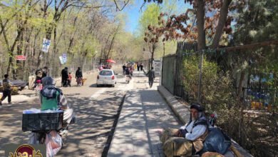 الصراع الأفغاني: المدنيون في مرمى النيران و"هدنة" هشة مع باكستان