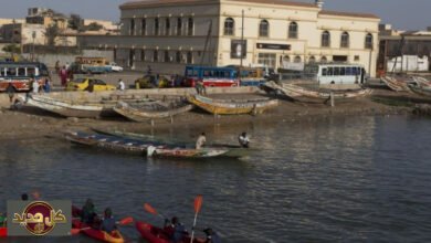 حماية نازحي المناخ في أفريقيا: دعوة حقوقية عاجلة للمحكمة الأفريقية