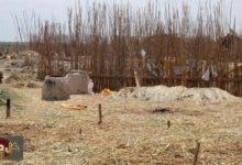 طعام العراقيين القدماء: كيمياء الأسنان تكشف أسرار مائدة سومر قبل 3000 عام