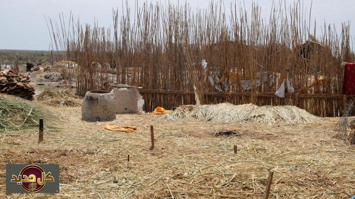 طعام العراقيين القدماء: كيمياء الأسنان تكشف أسرار مائدة سومر قبل 3000 عام