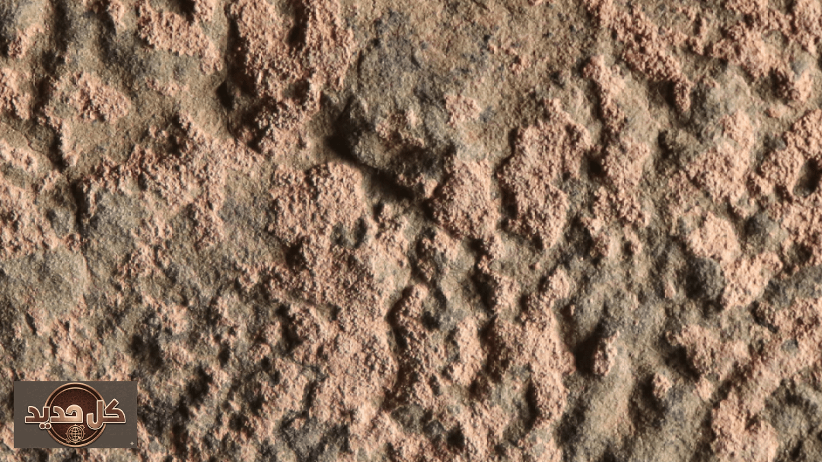 الحياة القديمة المغرب: اكتشاف ميكروبات عمرها 180 مليون سنة بوادي دادس