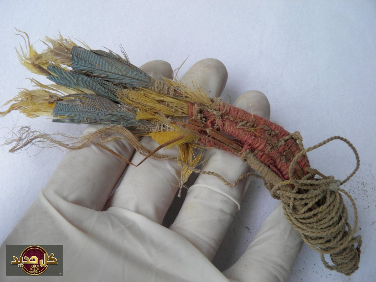 اكتشاف مذهل: الحمض النووي للببغاوات يكشف تجارة عمرها ألف عام