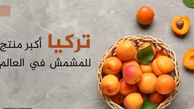 إنتاج المشمش العالمي: تركيا تتصدر والجزائر تقود السوق العربي نحو 6.8 مليارات دولار