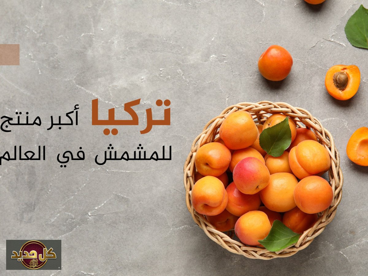 إنتاج المشمش العالمي: تركيا تتصدر والجزائر تقود السوق العربي نحو 6.8 مليارات دولار