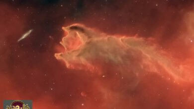 سديم فم الوحش: هل الكون صامت حقاً أم يعج بالنشاط؟