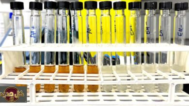 تحويل الخبز المهدر: من طعام رمضاني إلى أحماض صناعية صديقة للبيئة