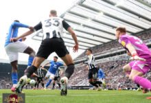 شمس الدين طالبي يقود سندرلاند لفوز مثير على نيوكاسل في ديربي إنجليزي حافل