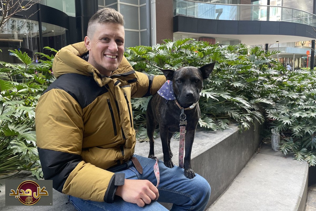 شات جي بي تي: كيف أنقذ الذكاء الاصطناعي الكلبة روزي من السرطان؟