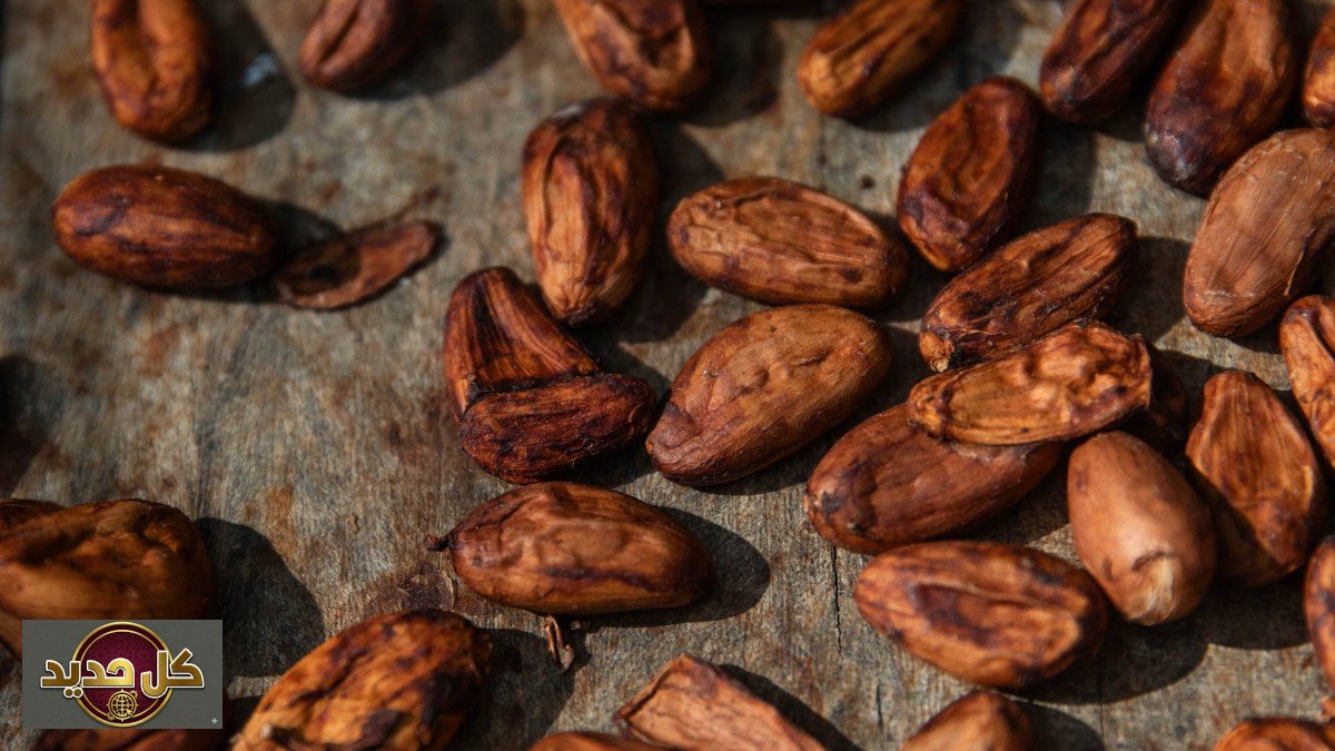 قيمة الكاكاو الغذائية: العلم ينصفه أمام تصنيف نيوتريسكور الأوروبي