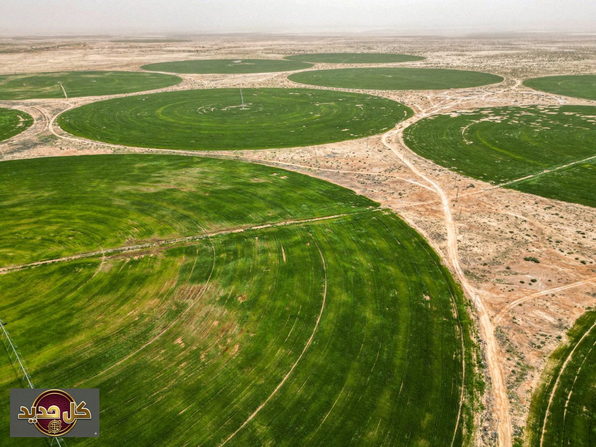 الجفاف والمضادات الحيوية: تحذير العلماء من أزمة صحية عالمية وشيكة