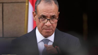 مصر تطالب بتشكيل قوة عربية مشتركة لمواجهة تحديات المنطقة