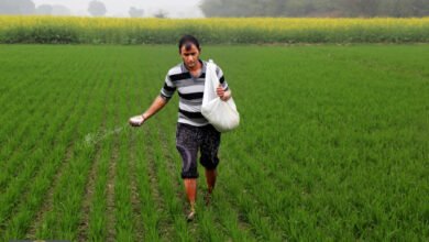 الأسمدة العالمية: توتر الخليج يهدد غذاء الكوكب