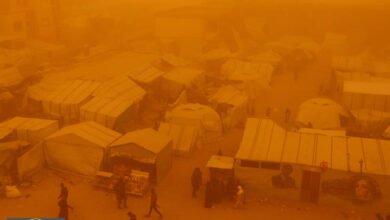 معاناة غزة تتفاقم: 7 شهداء جدد وعاصفة رملية تزيد محنة النازحين