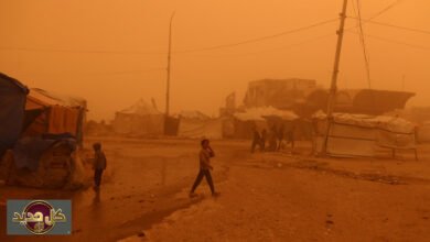 معاناة غزة تتفاقم: عاصفة رملية عنيفة تقتلع خيام 70 ألف نازح وتحيل سماء القطاع للون البرتقالي