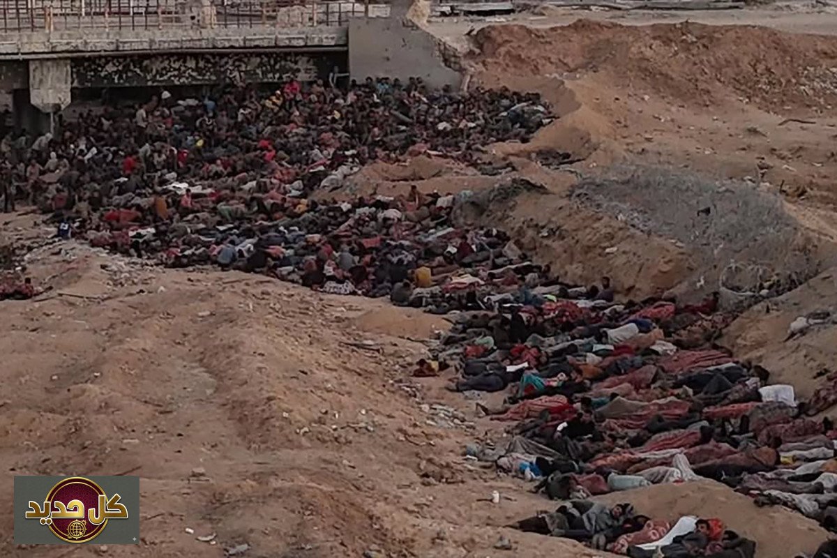 إطلاق نار غزة: شهادات صادمة لجندي بريطاني توثق استهداف المدنيين الجوعى