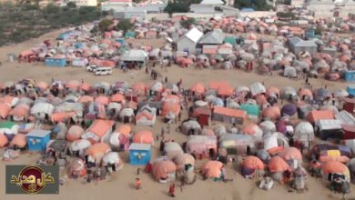 الأمن الغذائي العالمي: 45 مليون إنسان مهددون بالجوع مع تصاعد تأثيرات الحرب