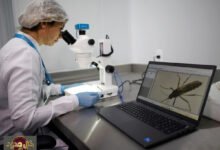 خطر صحي عالمي جديد: هل يواجه العالم فناءً محتملاً يهدد عشرات الملايين؟