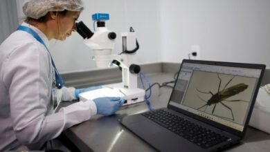 خطر صحي عالمي جديد: هل يواجه العالم فناءً محتملاً يهدد عشرات الملايين؟