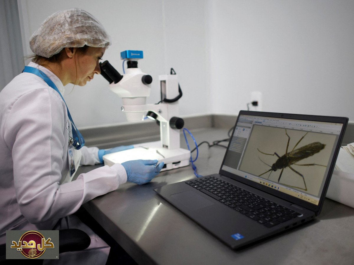 خطر صحي عالمي جديد: هل يواجه العالم فناءً محتملاً يهدد عشرات الملايين؟