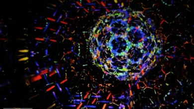 تكون الذهب: بعد عقدين، العلماء يحلون لغز المنشأ النووي للمعدن الثمين