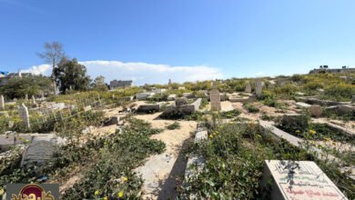 نبش المقابر في غزة: 'إبادة الذاكرة' تكشف جريمة حرب جديدة