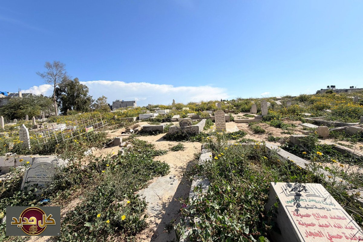 نبش المقابر في غزة: 'إبادة الذاكرة' تكشف جريمة حرب جديدة