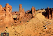 الصحراء الخضراء: متى تعود الحياة إلى قلب القارة السمراء؟