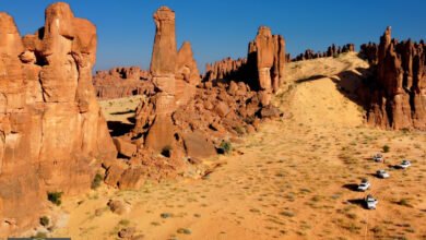 الصحراء الخضراء: متى تعود الحياة إلى قلب القارة السمراء؟