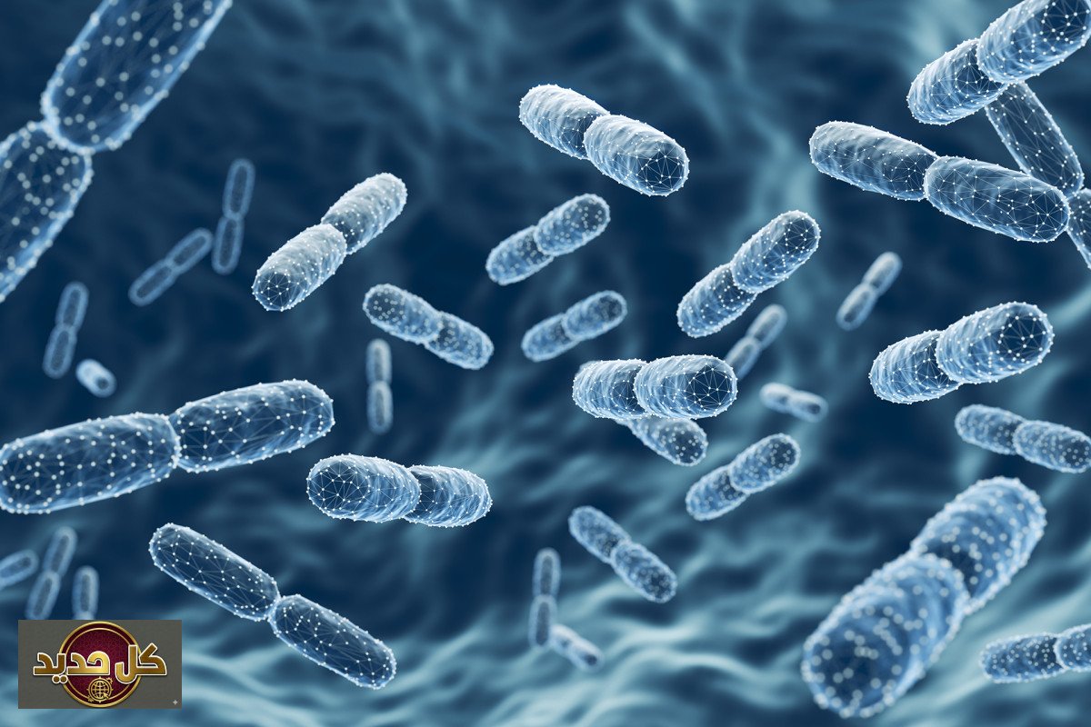 بكتيريا الأمعاء في رمضان: هل يعيد الصيام ترتيب عالمها الخفي؟