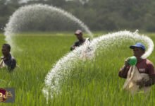 أزمة مضيق هرمز: كيف يهدد الممر الملاحي رغيف الخبز العالمي؟