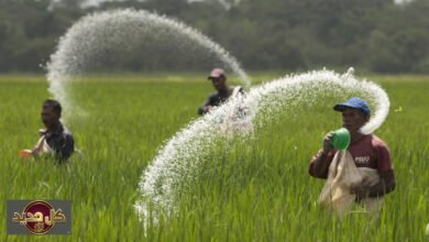 أزمة مضيق هرمز: كيف يهدد الممر الملاحي رغيف الخبز العالمي؟