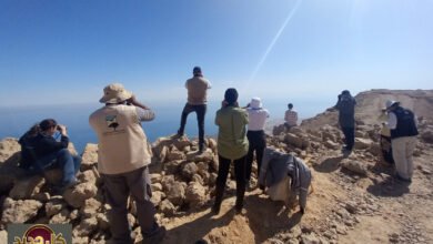 إفطار الجلالة: متطوعون يصومون على قمة جبل الجلالة لمراقبة الطيور المهاجرة