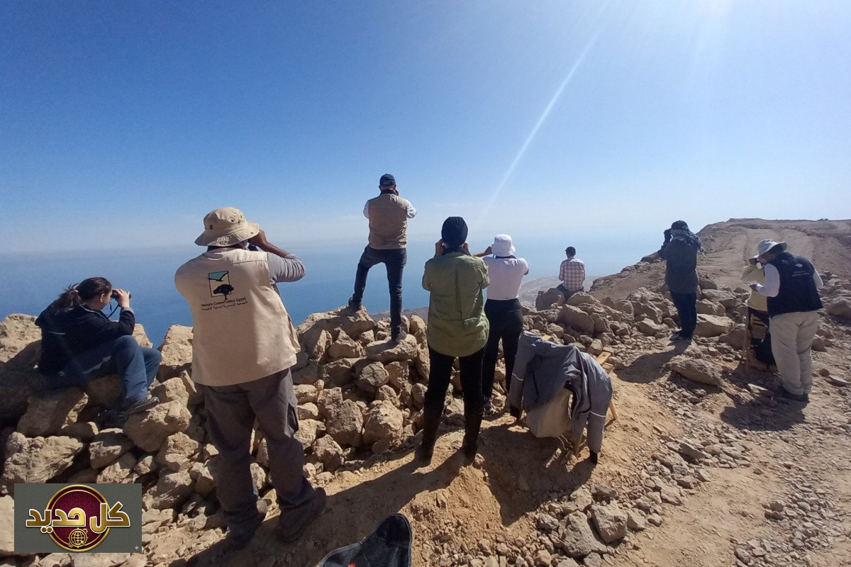 إفطار الجلالة: متطوعون يصومون على قمة جبل الجلالة لمراقبة الطيور المهاجرة